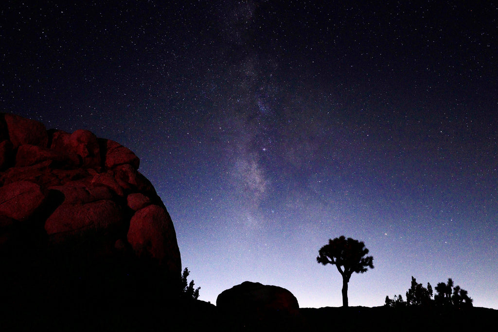 /세미야,여행가자/여구가 LA출도착 7박8일 미서부 세미패키지 투어, LA, 라스베가스, 그랜드캐년