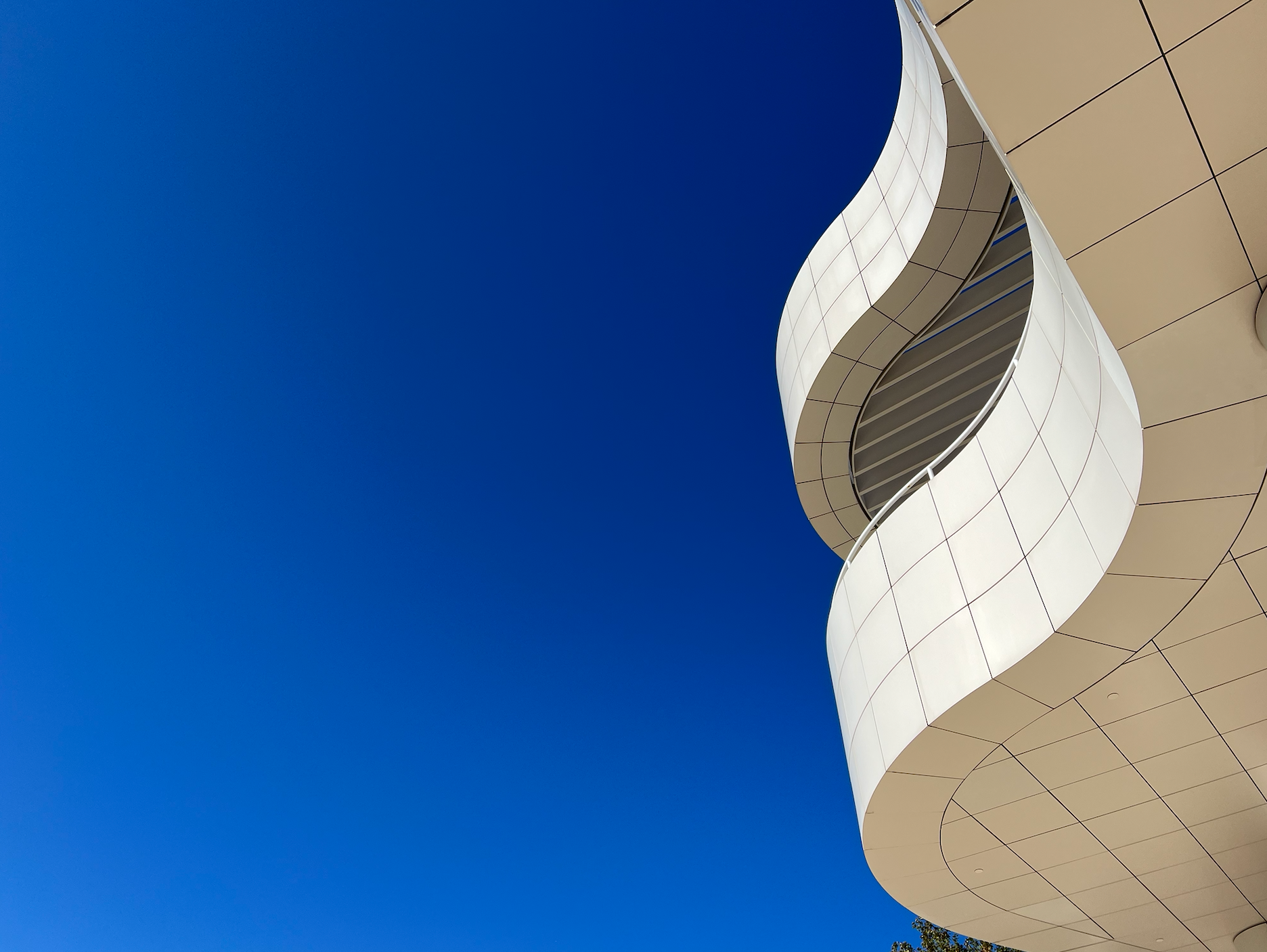 /LAFC손흥민홈스타디움샵/ 여구가 LA 하루 꼭 투어, 이 투어 하나로 LA 끝내기