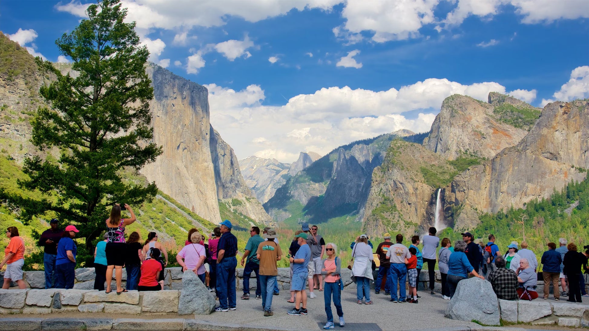 LA출도착 여구가 웅장한 요세미티 하루 투어 - 점심 피크닉 포함