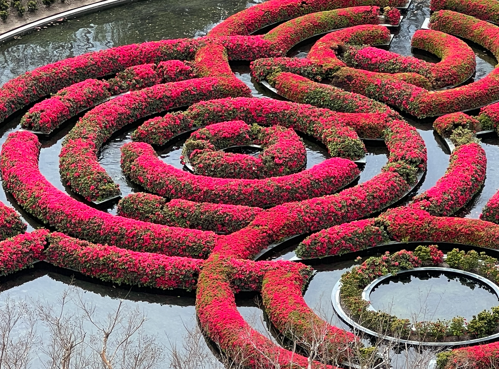 여구가 게티센터 도슨트 투어