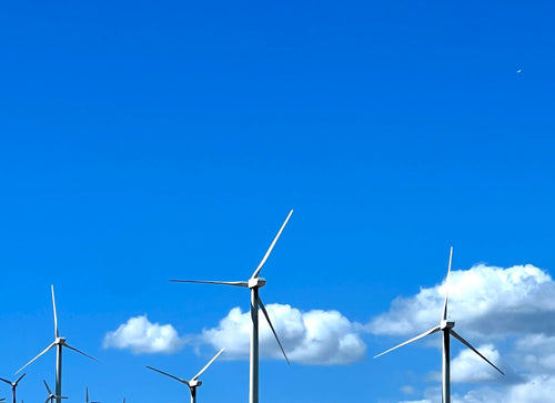 /세미야,여행가자/여구가 LA출도착 7박8일 미서부 세미패키지 투어, LA, 라스베가스, 그랜드캐년