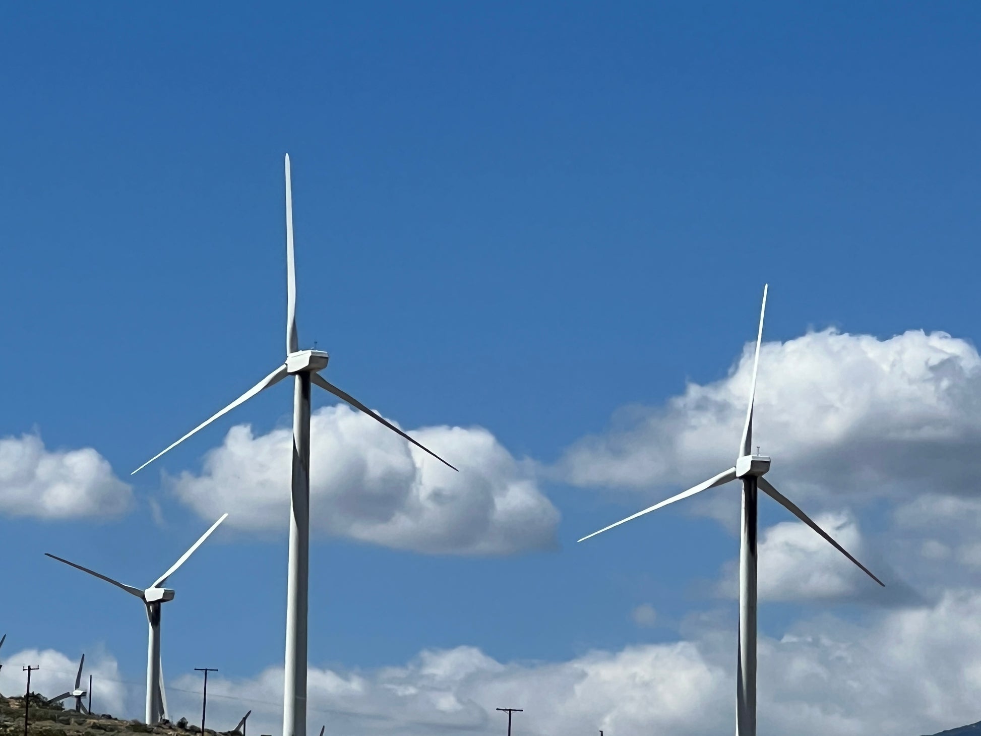 여구가 조슈아트리 별멍투어, 대자연속 BBQ 스테이크와 별사진