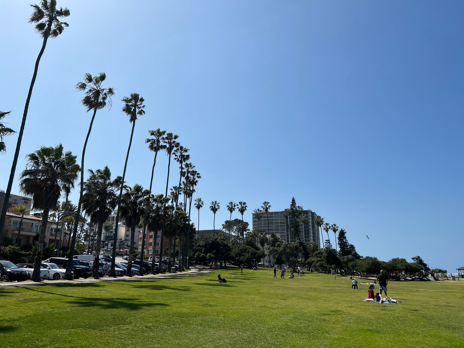 여구가 샌디에고 하루 투어, 미국인이 가장 살고 싶은 도시