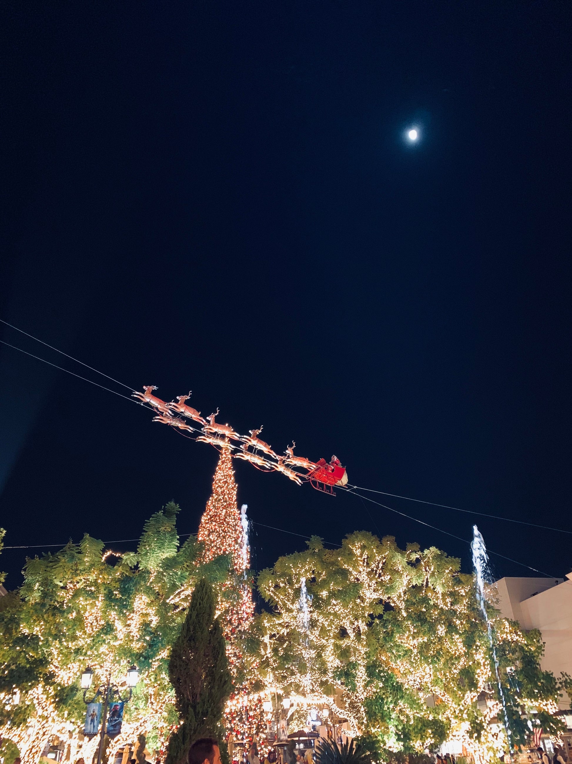 /LAFC손흥민홈스타디움샵/ 여구가 LA 하루 꼭 투어, 이 투어 하나로 LA 끝내기