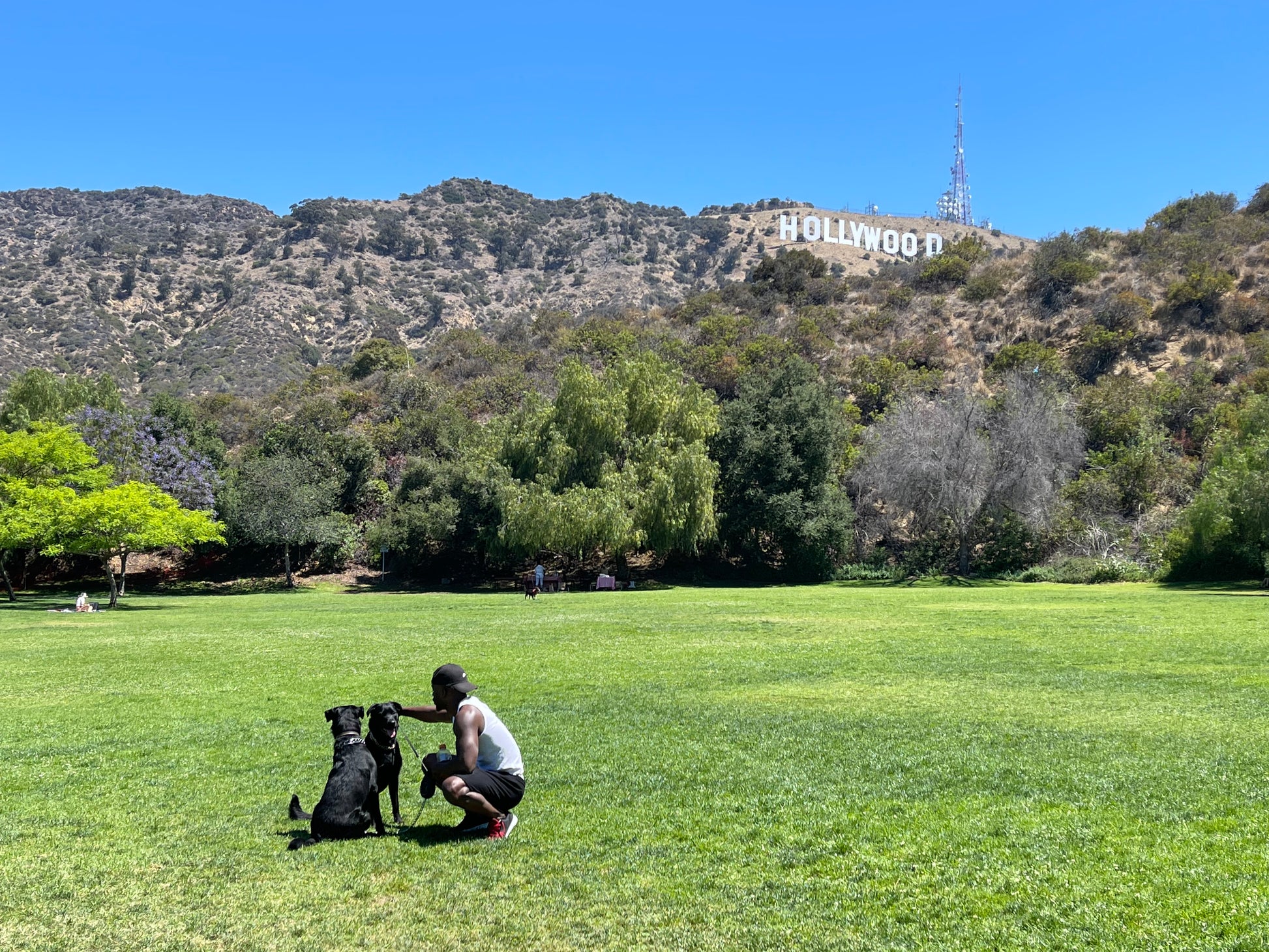 /LAFC손흥민홈스타디움샵/ 여구가 LA 하루 꼭 투어, 이 투어 하나로 LA 끝내기