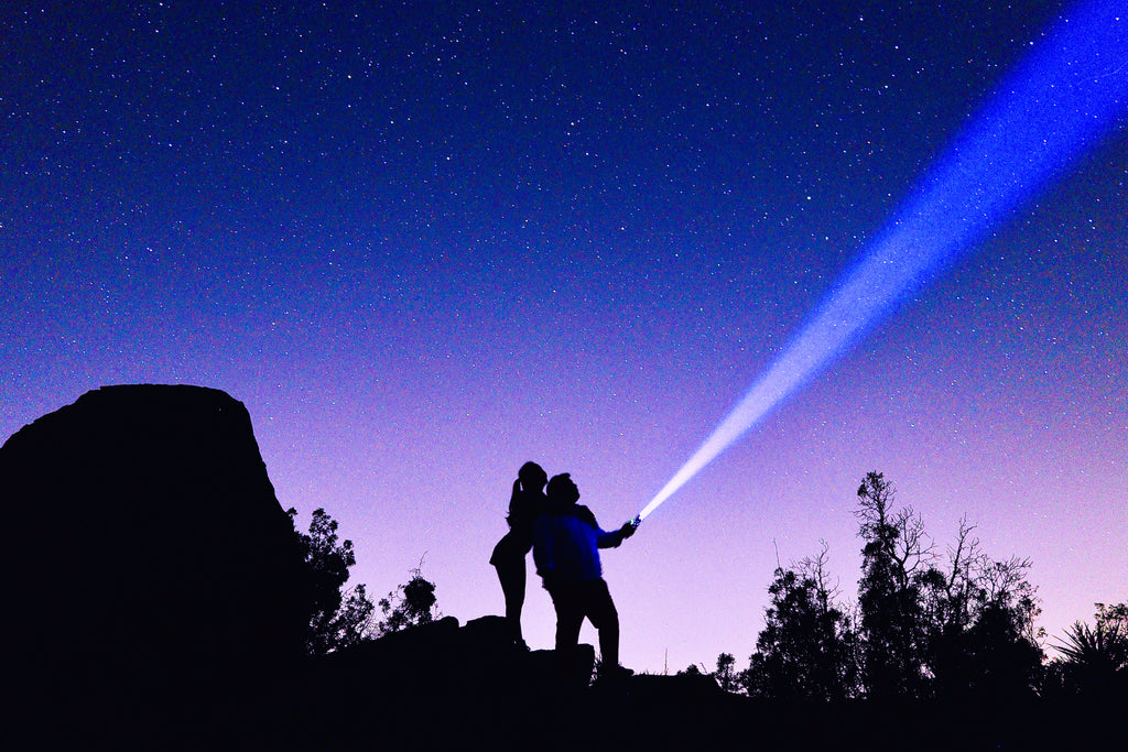 여구가 조슈아트리 별멍투어, 대자연속 BBQ 스테이크와 별사진