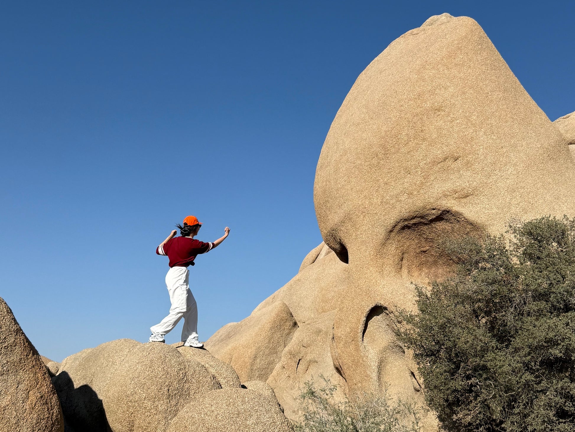 여구가 조슈아트리 별멍투어, 대자연속 BBQ 스테이크와 별사진