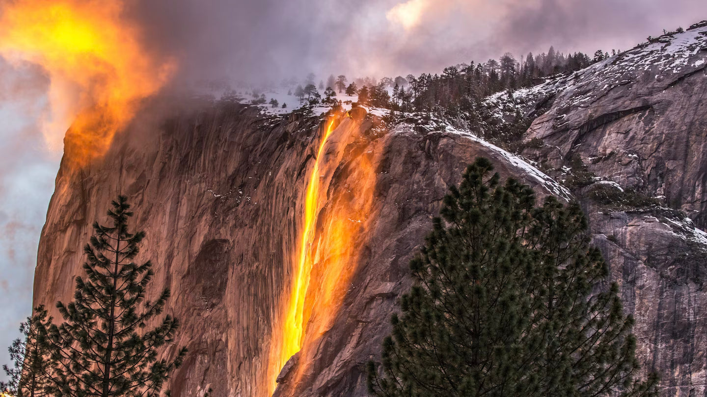 LA출도착 여구가 웅장한 요세미티 하루 투어 - 점심 피크닉 포함